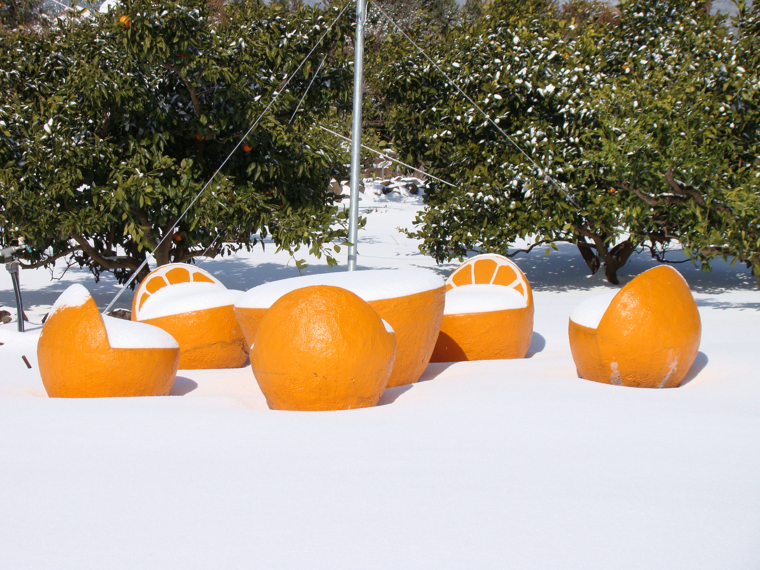 서귀포농업기술센터 겨울사진입니다. 서귀포에도 이렇게 눈이 내리네요!!!
